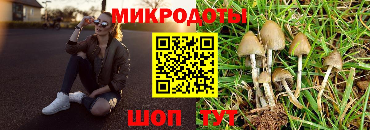 Псилоцибиновые грибы мицелий Благовещенск